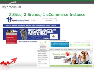 2 Sites, 2 Brands, 1 eCommerce Instance
 