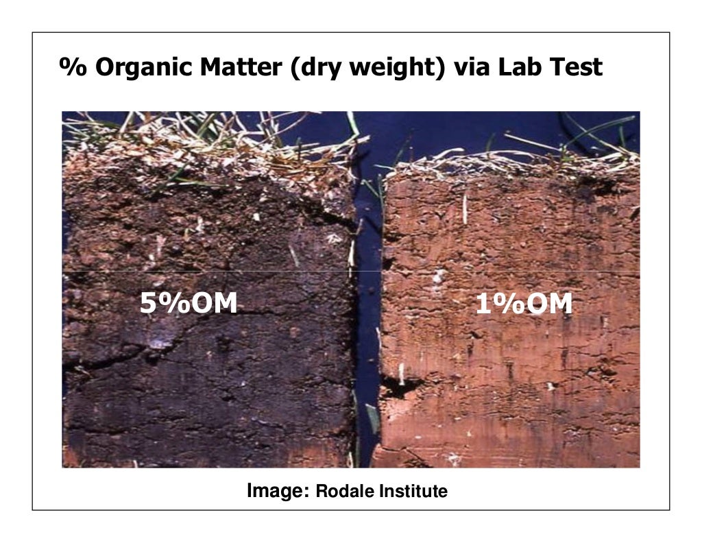 Managing Organic Matter for Soil Health and Fertility