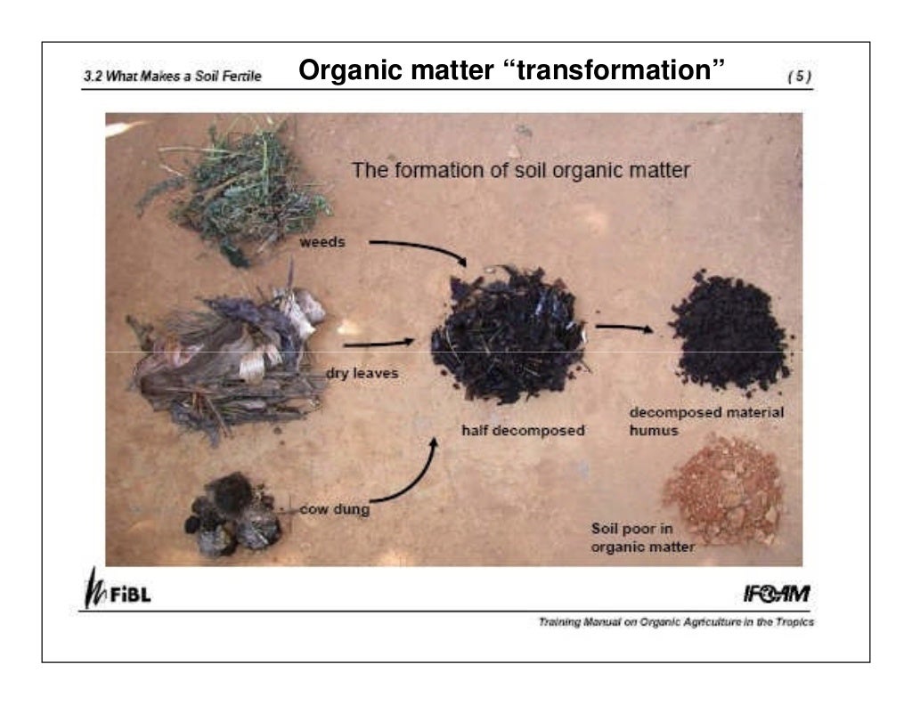 Managing Organic Matter for Soil Health and Fertility