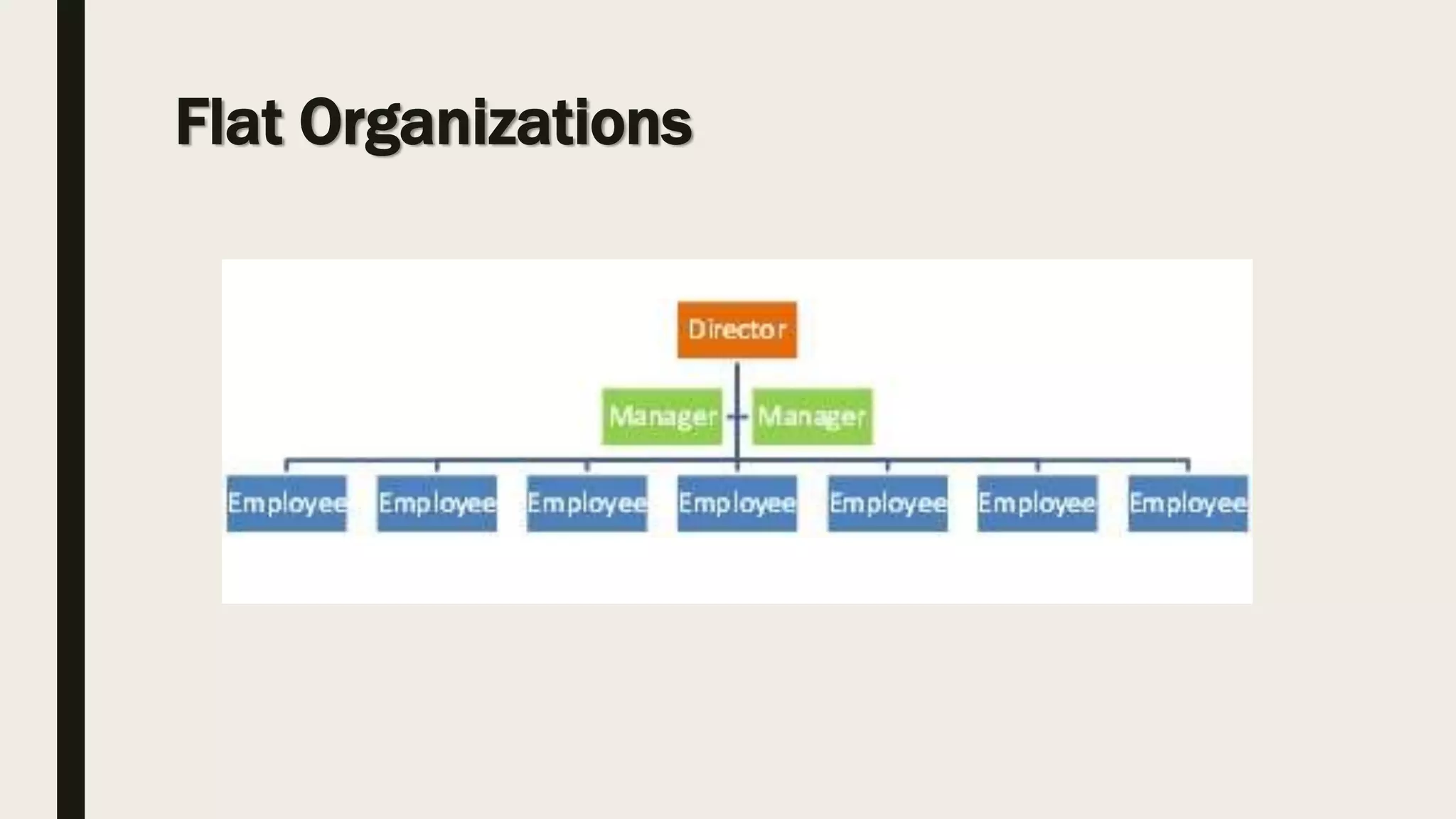 Flat Organizations
 