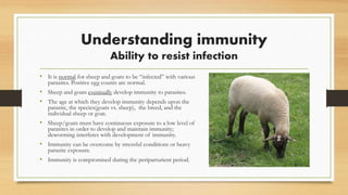 Understanding immunity
Ability to resist infection
• It is normal for sheep and goats to be “infected” with various
parasites. Positive egg counts are normal.
• Sheep and goats eventually develop immunity to parasites.
• The age at which they develop immunity depends upon the
parasite, the species(goats vs. sheep), the breed, and the
individual sheep or goat.
• Sheep/goats must have continuous exposure to a low level of
parasites in order to develop and maintain immunity;
deworming interferes with development of immunity.
• Immunity can be overcome by stressful conditions or heavy
parasite exposure.
• Immunity is compromised during the periparturient period.
 