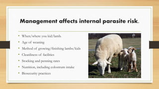 Management affects internal parasite risk.
• When/where you kid/lamb.
• Age of weaning
• Method of growing/finishing lambs/kids
• Cleanliness of facilities
• Stocking and penning rates
• Nutrition, including colostrum intake
• Biosecurity practices
 