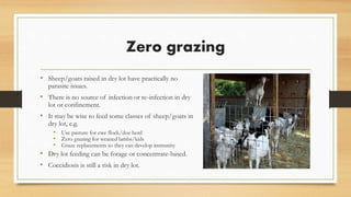 Zero grazing
• Sheep/goats raised in dry lot have practically no
parasite issues.
• There is no source of infection or re-infection in dry
lot or confinement.
• It may be wise to feed some classes of sheep/goats in
dry lot, e.g.
• Use pasture for ewe flock/doe herd
• Zero grazing for weaned lambs/kids
• Graze replacements so they can develop immunity
• Dry lot feeding can be forage or concentrate-based.
• Coccidiosis is still a risk in dry lot.
 
