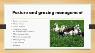Pasture and grazing management
• Pasture rest/rotation
• Clean pastures
• Annual pastures
• Alternative forages
e.g. Sericea lespedeza, chicory
• Multi-species grazing
• Minimum grazing height
• Delayed grazing
• Night penning
• Browsing
 