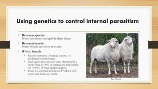Using genetics to control internal parasitism
• Between species
Goats are more susceptible than sheep
• Between breeds
Some breeds are more resistant
• Within breeds
• Parasite resistance (fecal egg counts) is a
moderately heritable trait.
• Fecal egg counts are not evenly dispersed in a
flock/herd; 20-30% of animals are responsible
for 70-80% of fecal egg production.
• There is a correlation between FAMACHA©
scores and fecal egg counts.
St. Croix
 