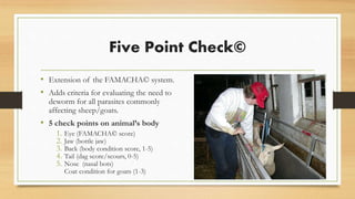 Five Point Check©
• Extension of the FAMACHA© system.
• Adds criteria for evaluating the need to
deworm for all parasites commonly
affecting sheep/goats.
• 5 check points on animal’s body
1. Eye (FAMACHA© score)
2. Jaw (bottle jaw)
3. Back (body condition score, 1-5)
4. Tail (dag score/scours, 0-5)
5. Nose (nasal bots)
Coat condition for goats (1-3)
 