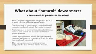 What about “natural” dewormers?
A dewormer kills parasites in the animal!
• There’s only one: copper oxide wire particles (COWP).
It is only effective against barber pole worm.
• Anything you do to reduce pasture contamination will
reduce the number of animals that require treatment.
• Anything you do to improve the nutritional and immune
status of your animals will reduce the number that
require treatment.
• Always regularly monitor animals for clinical signs of
parasitism and give them a commercial dewormer when
they are clinically parasitized.
• There are ongoing studies evaluating various
compounds for their effect on internal parasites.
 