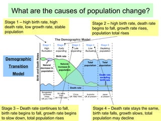 Managing population change | PPT
