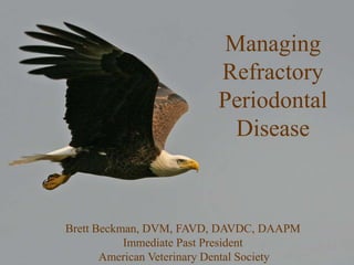 Managing Refractory Periodontal Disease Brett Beckman, DVM, FAVD, DAVDC, DAAPM Immediate Past President  American Veterinary Dental Society 