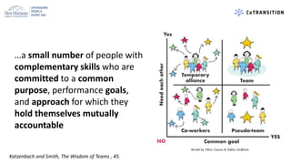 …a small number of people with
complementary skills who are
committed to a common
purpose, performance goals,
and approach...