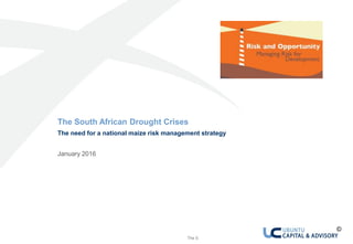 0 The South African Drought Crisis: the need for a national maize risk management strategy
The South African Drought Crisis
The need for a national maize risk management strategy
January 2016
©
 