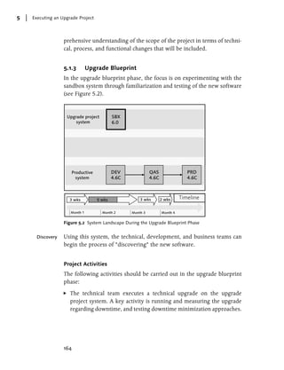 Managing sap upgrade_projects | PDF