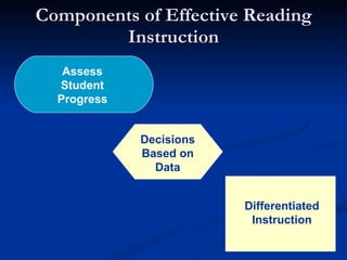 Components of Effective Reading Instruction Assess Student Progress Decisions Based on Data Differentiated Instruction 
