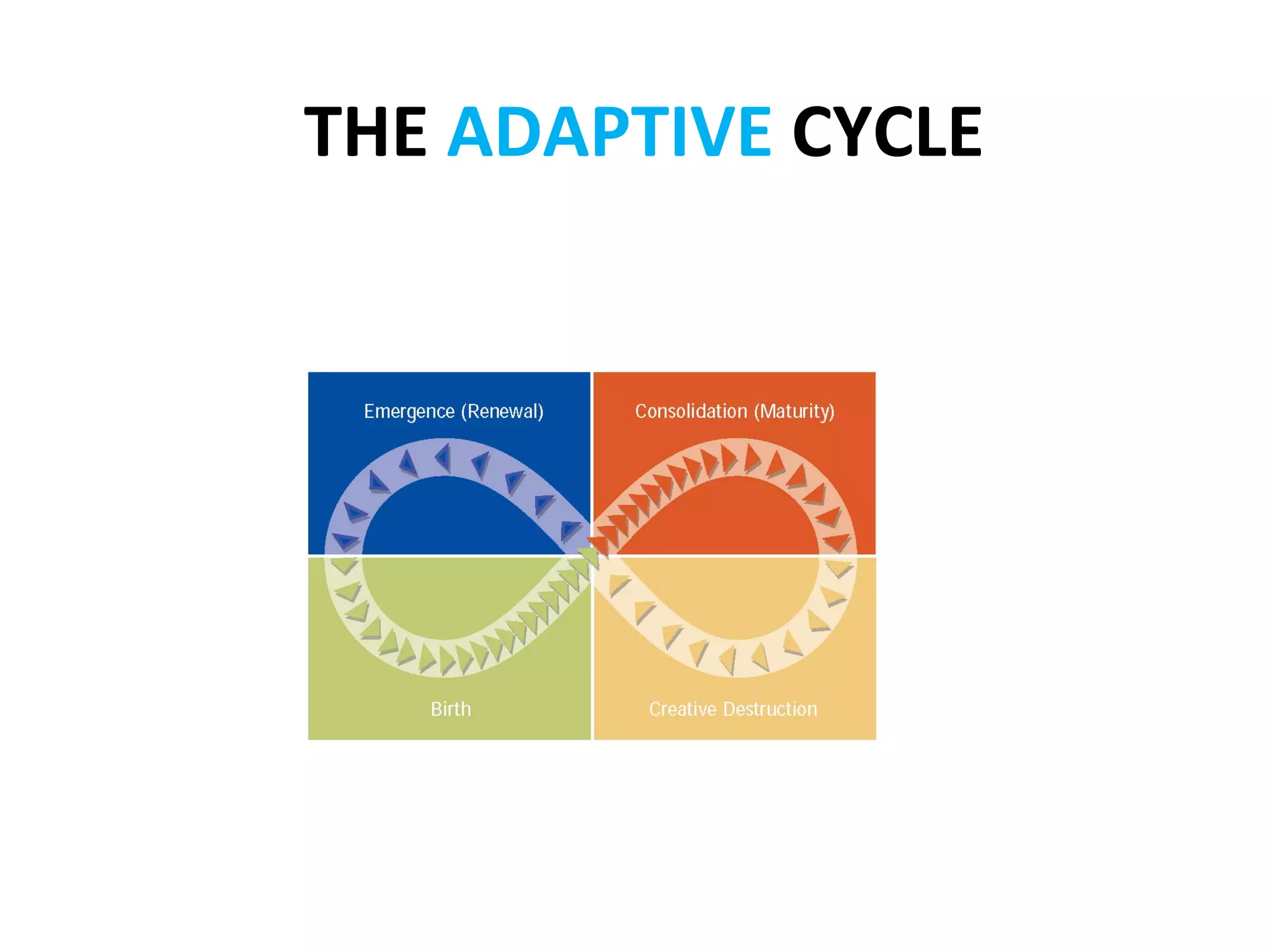  THE	
  ADAPTIVE	
  CYCLE	
  
 