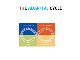  THE	
  ADAPTIVE	
  CYCLE	
  
 