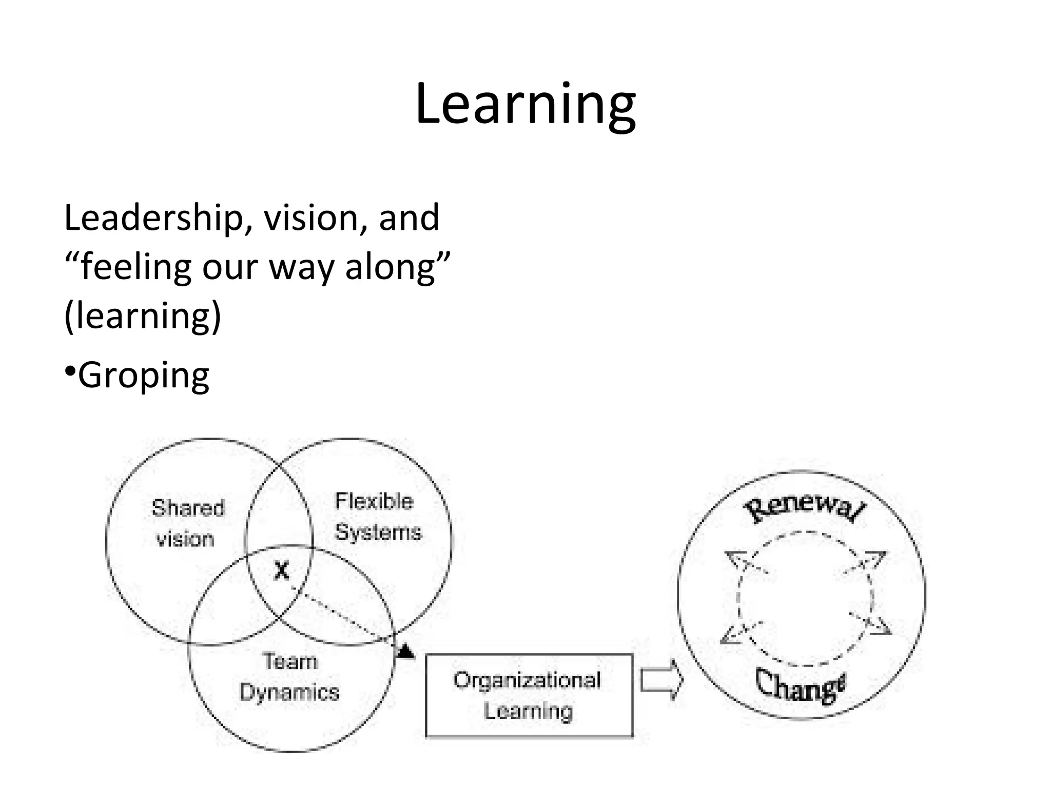 Learning
Leadership, vision, and
“feeling our way along”
(learning)
•Groping
 