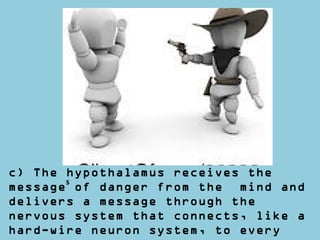 s
c) The hypothalamus receives the
message of danger from the mind and
delivers a message through the
nervous system that connects, like a
hard-wire neuron system, to every
 
