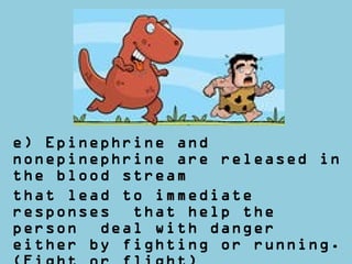 e) Epinephrine and
nonepinephrine are released in
the blood stream
that lead to immediate
responses that help the
person deal with danger
either by fighting or running.
 