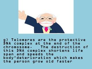 g) Telomeres are the protective
DNA complex at the end of the
chromosome. The destruction of
this DNA complex shortens life
span and speeds the
body’deterioration which makes
the person grow old faster
 