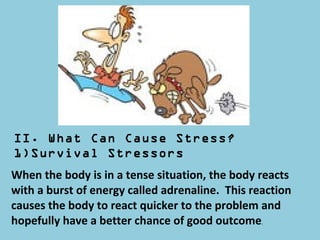 II. What Can Cause Stress?
1)Survival Stressors
When the body is in a tense situation, the body reacts
with a burst of energy called adrenaline. This reaction
causes the body to react quicker to the problem and
hopefully have a better chance of good outcome.
 