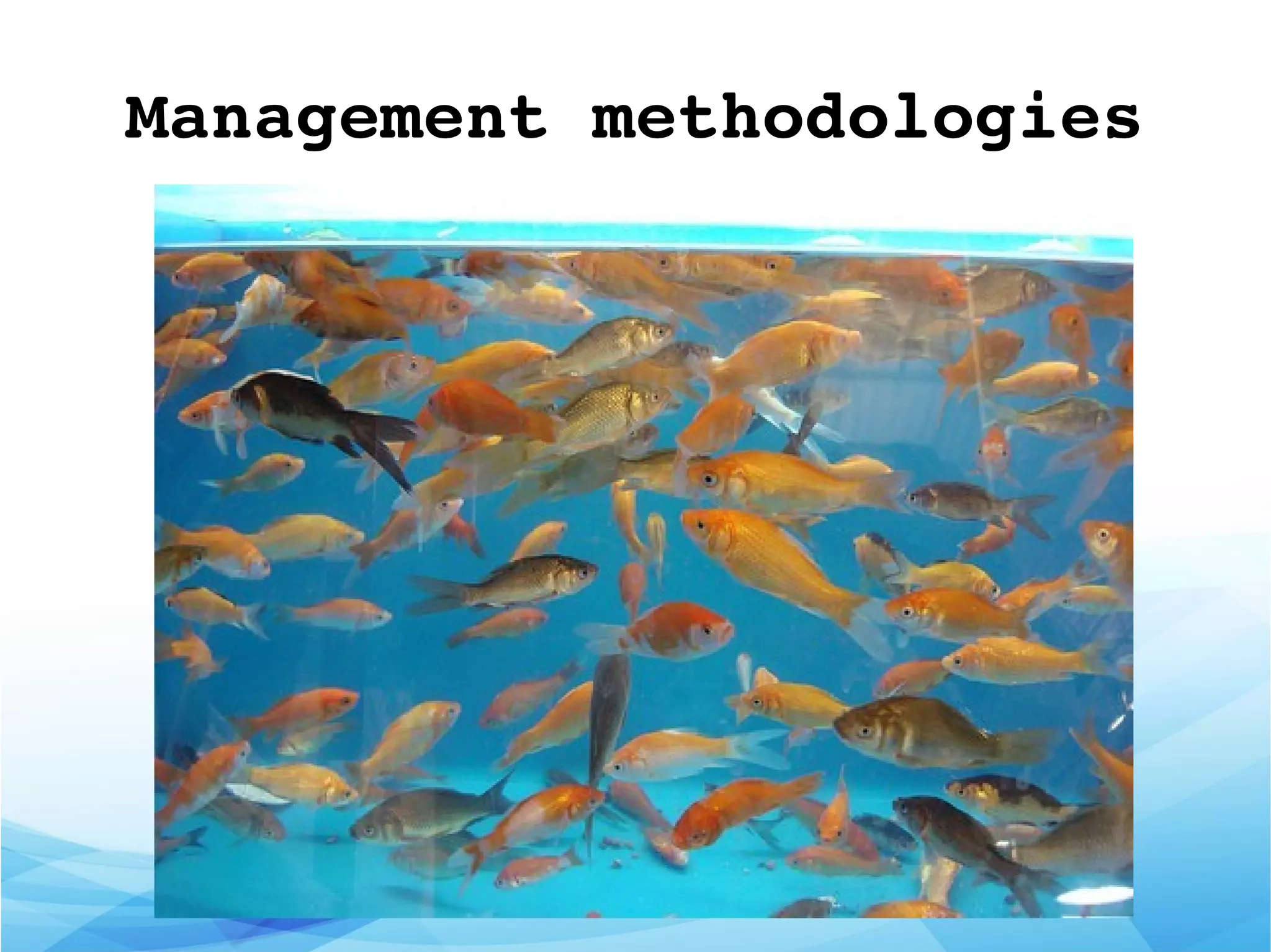Management methodologies
 