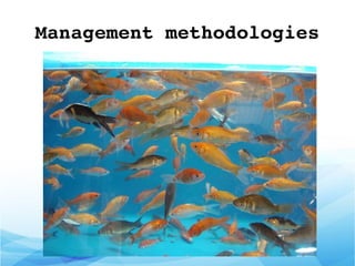 Management methodologies
 
