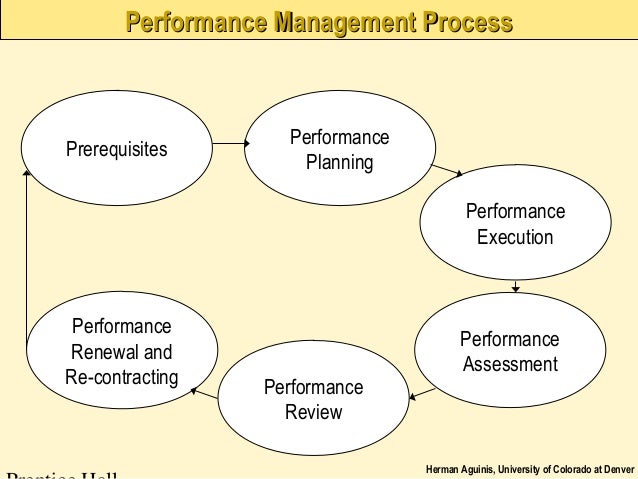 Managing Team Performance {Lecture Notes}