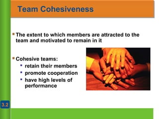 Chapter 10
Copyright ©2007 by South-Western, a division of Thomson Learning. All rights reserved
Purvish Shah - NAVIGATOR
Team Cohesiveness
The extent to which members are attracted to the
team and motivated to remain in it
Cohesive teams:
 retain their members
 promote cooperation
 have high levels of
performance
3.23.2
 