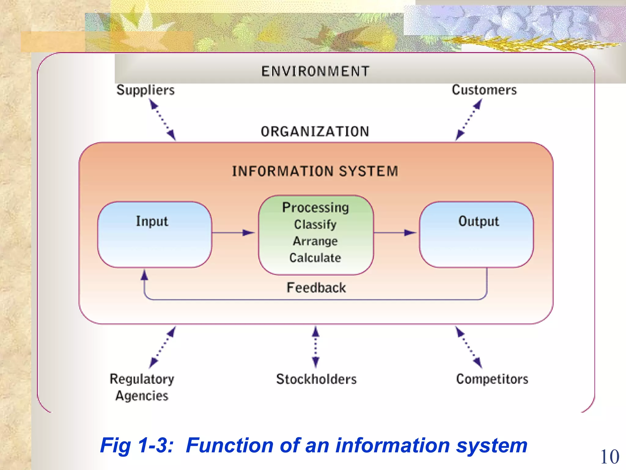 Fig 1-3:  Function of an information system 