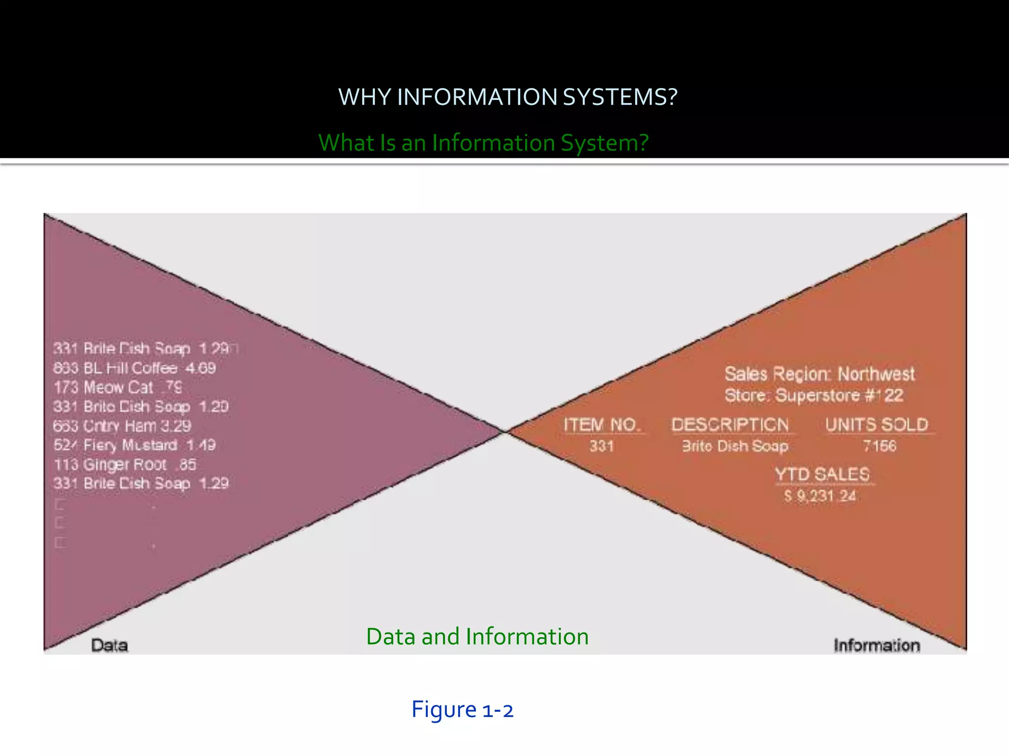 WHY INFORMATION SYSTEMS?
What Is an Information System?




    Data and Information

        Figure 1-2
 