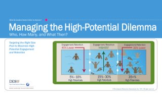 Managing the High-Potential Dilemma GLF 2014|2015