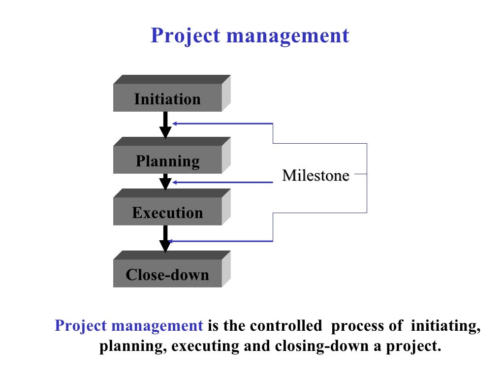 Managing the information system project