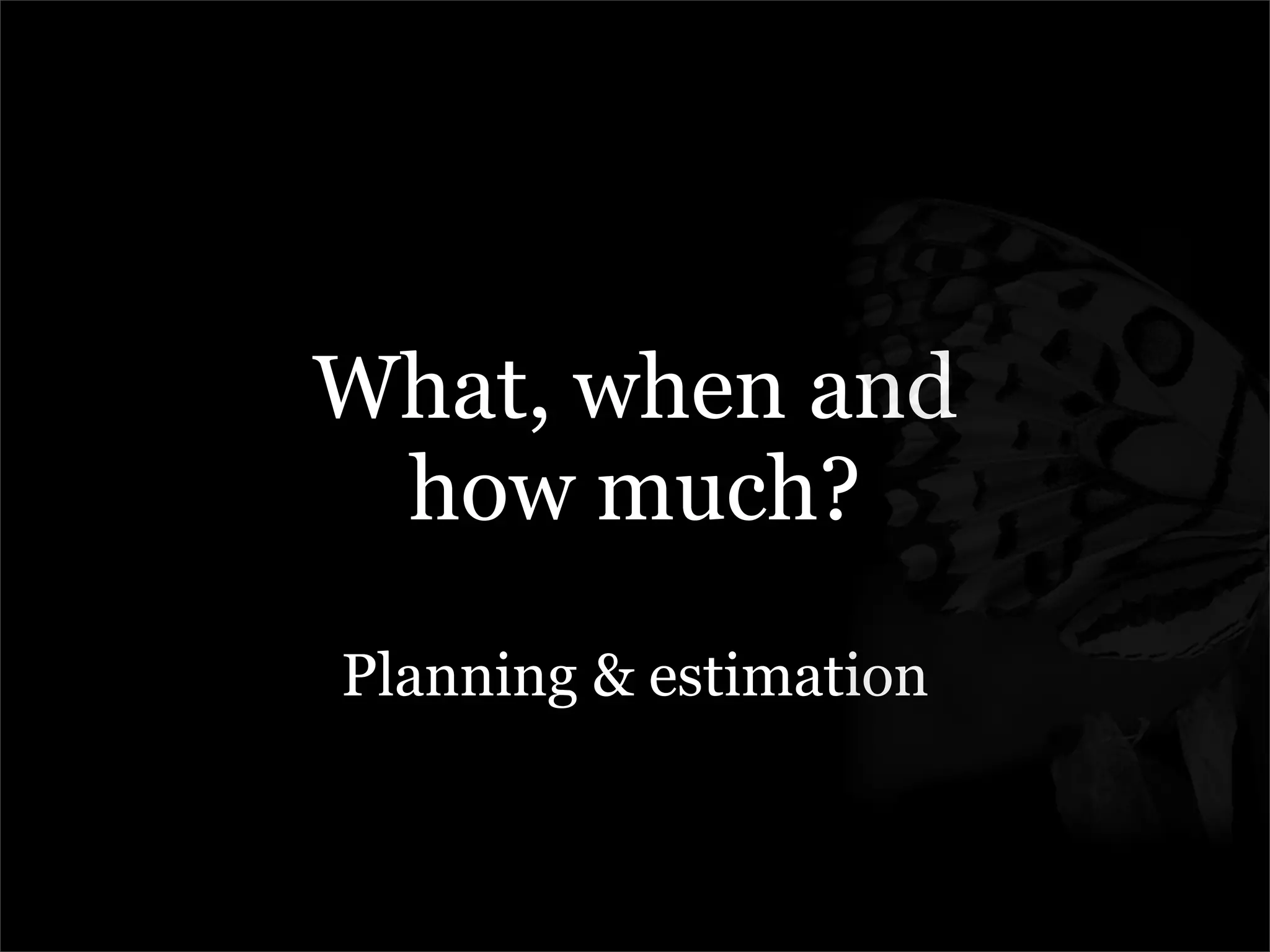 Managing The Metamorphosis