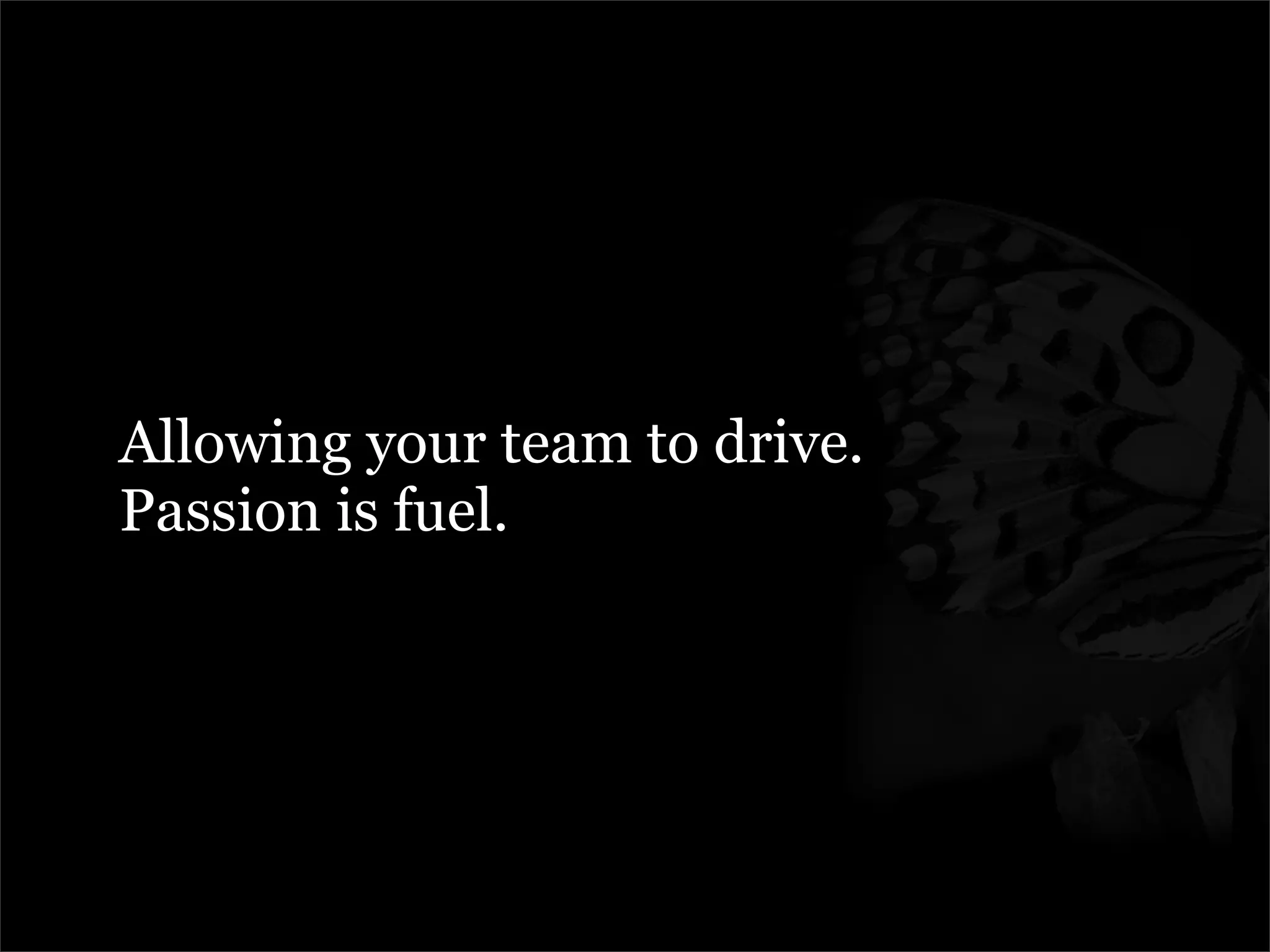 Managing The Metamorphosis