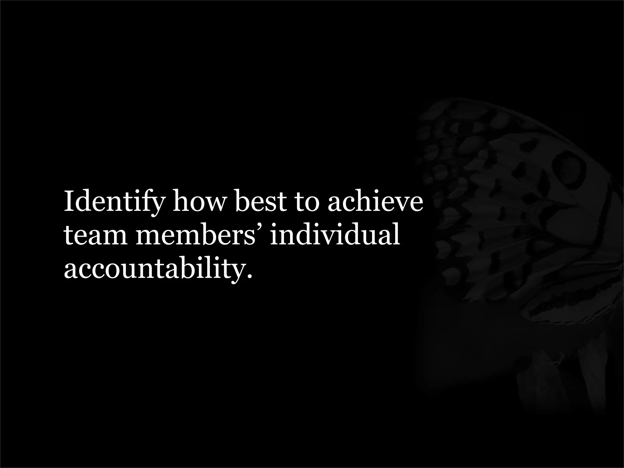 Managing The Metamorphosis