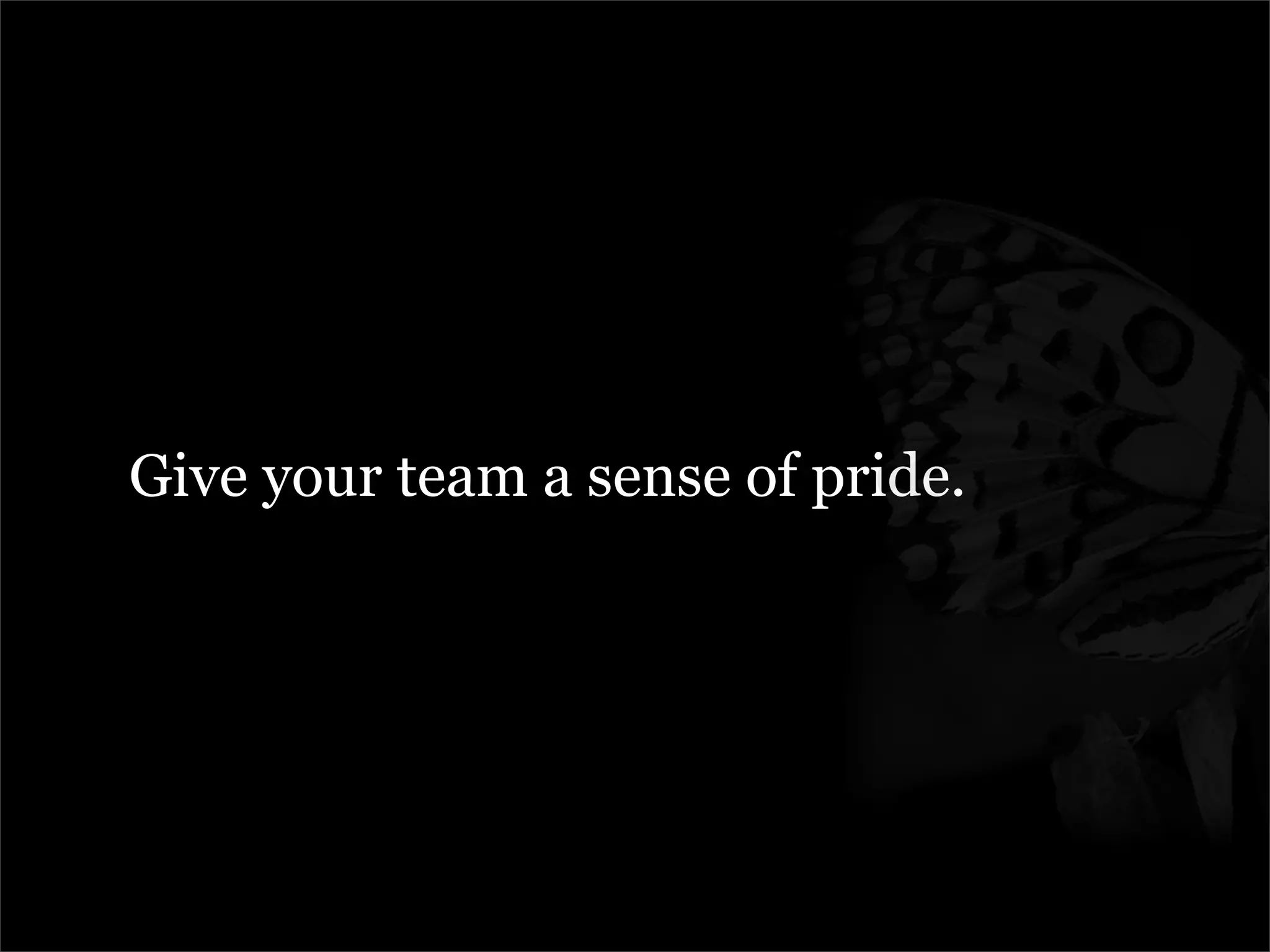 Managing The Metamorphosis