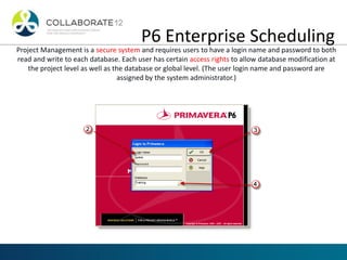 P6 Log Managing the p6 schedule from the perspective of an owner ppt | PDF