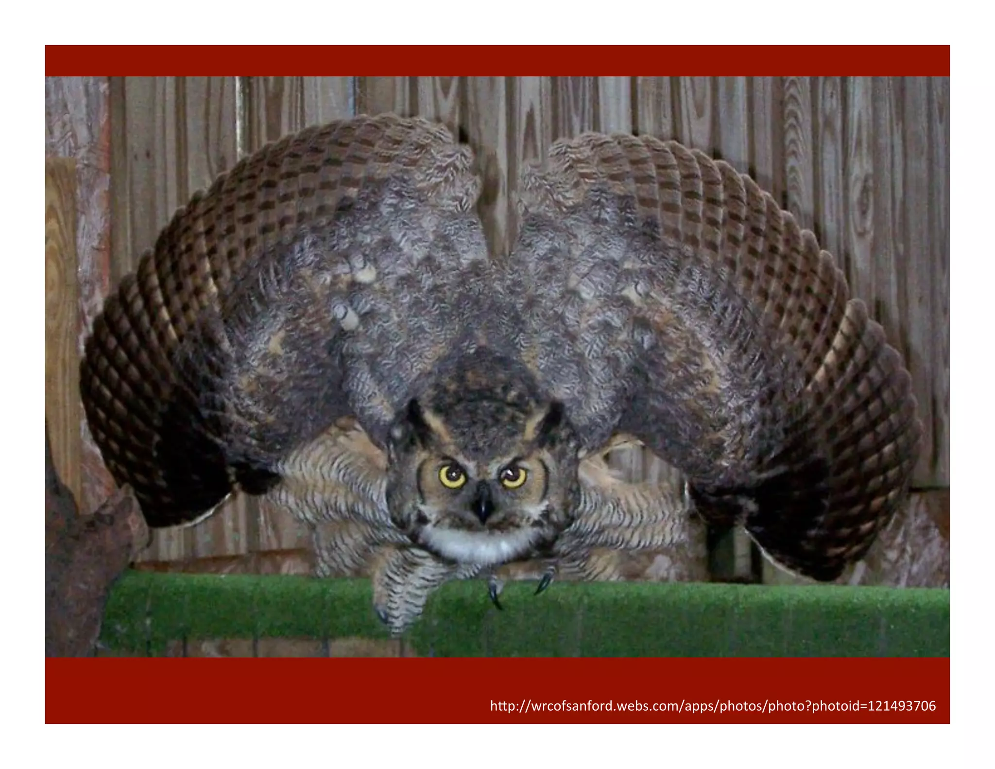 h"p://wrcofsanford.webs.com/apps/photos/photo?photoid=121493706	
  
 