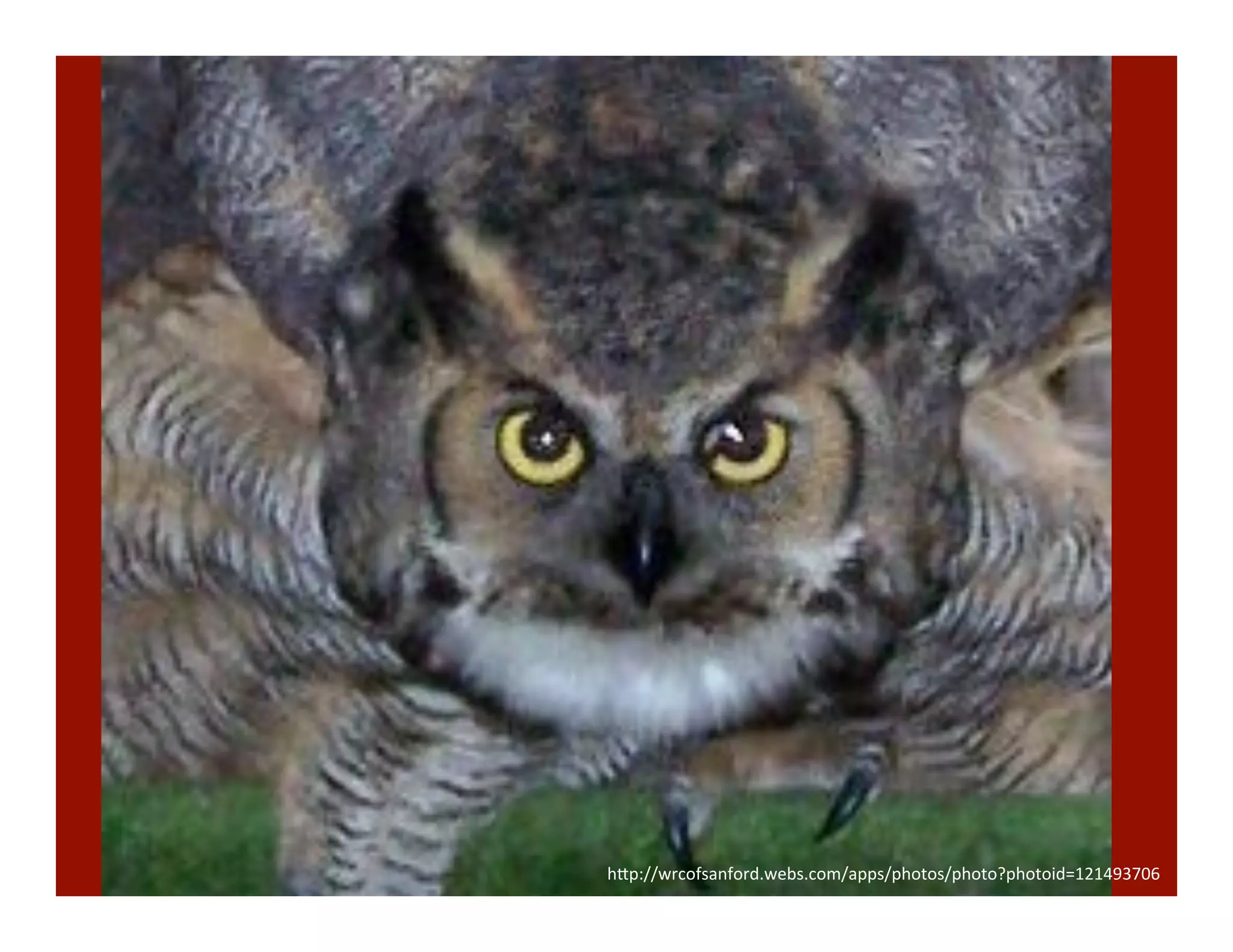 h"p://wrcofsanford.webs.com/apps/photos/photo?photoid=121493706	
  
 