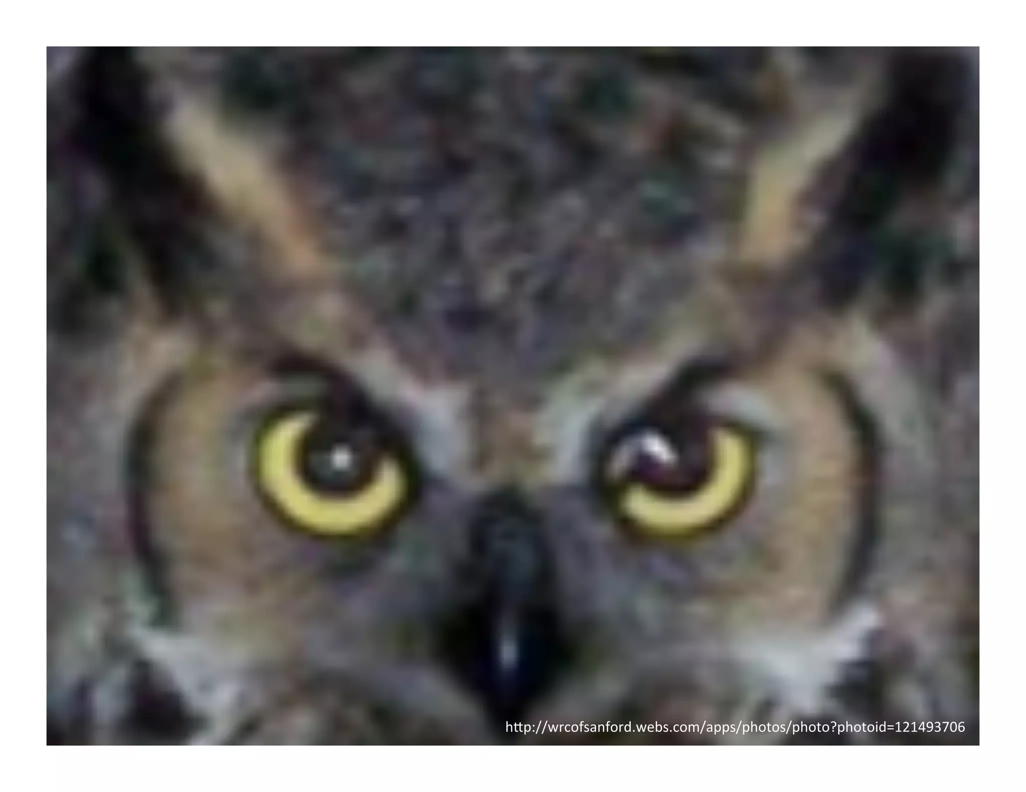 h"p://wrcofsanford.webs.com/apps/photos/photo?photoid=121493706	
  
 