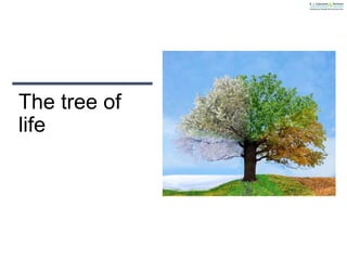 The tree of
life
 