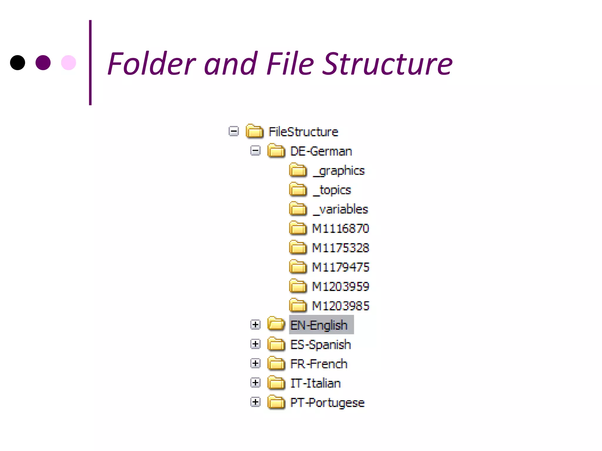 Folder and File Structure
 