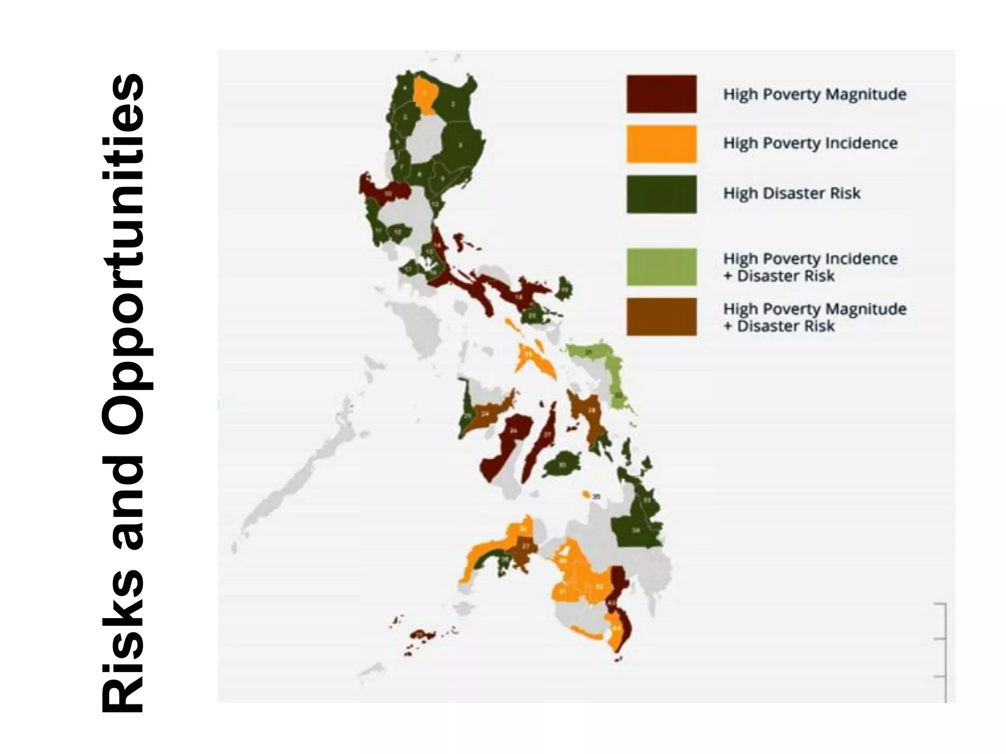 RisksandOpportunities
 