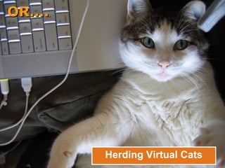 Herding Virtual Cats OR.... OR.... 