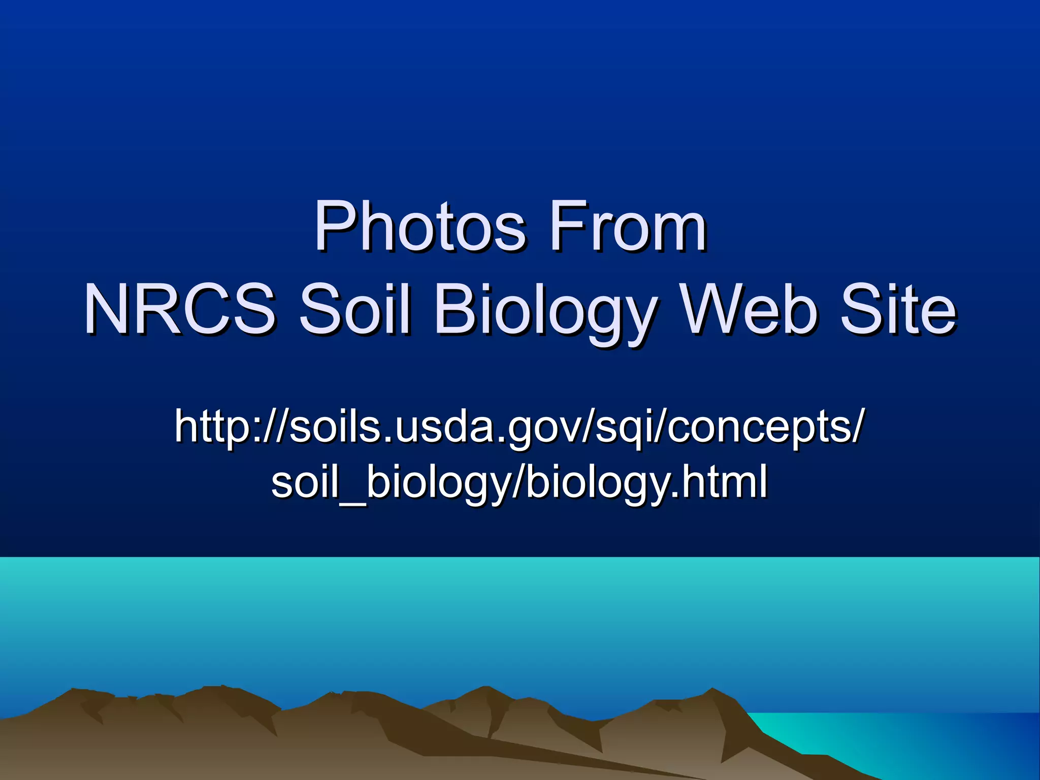 Photos From
NRCS Soil Biology Web Site
  http://soils.usda.gov/sqi/concepts/
        soil_biology/biology.html
 