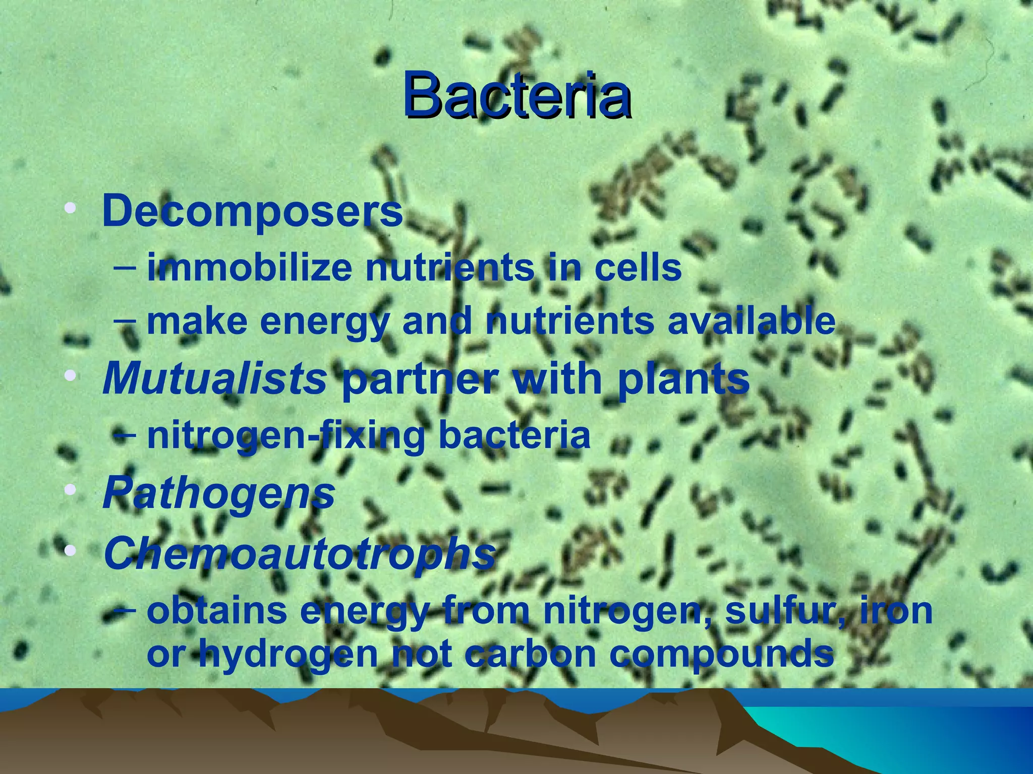 Bacteria
• Decomposers
  – immobilize nutrients in cells
  – make energy and nutrients available
• Mutualists partner with plants
  – nitrogen-fixing bacteria
• Pathogens
• Chemoautotrophs
  – obtains energy from nitrogen, sulfur, iron
    or hydrogen not carbon compounds
 