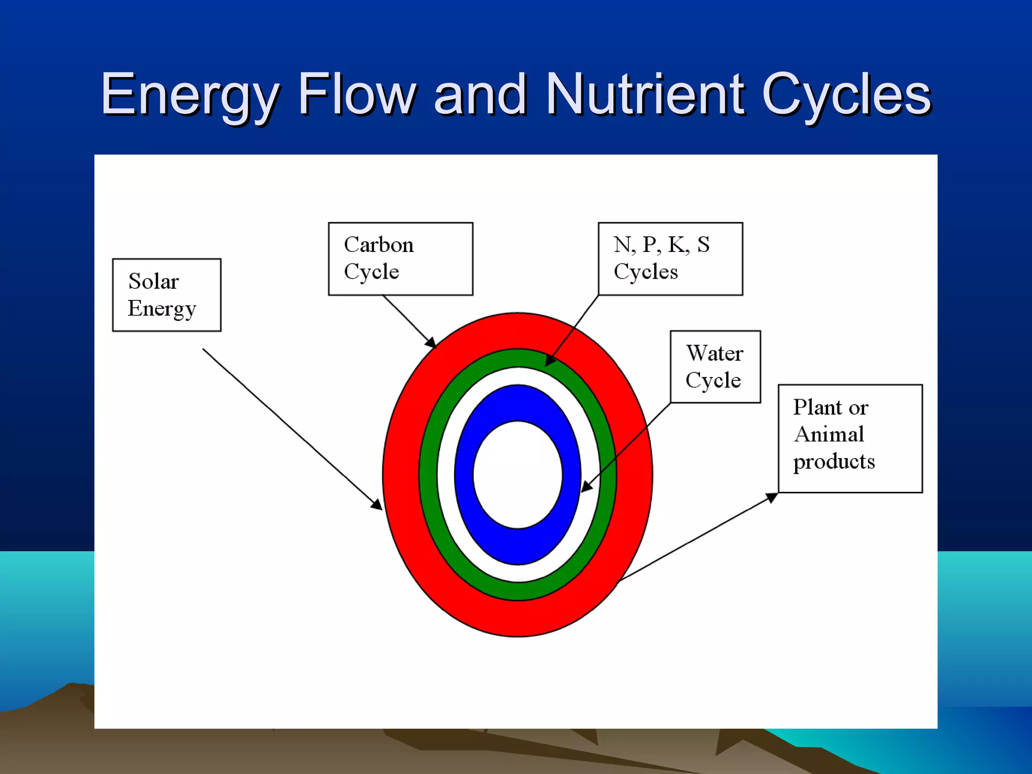 Energy Flow and Nutrient Cycles
 