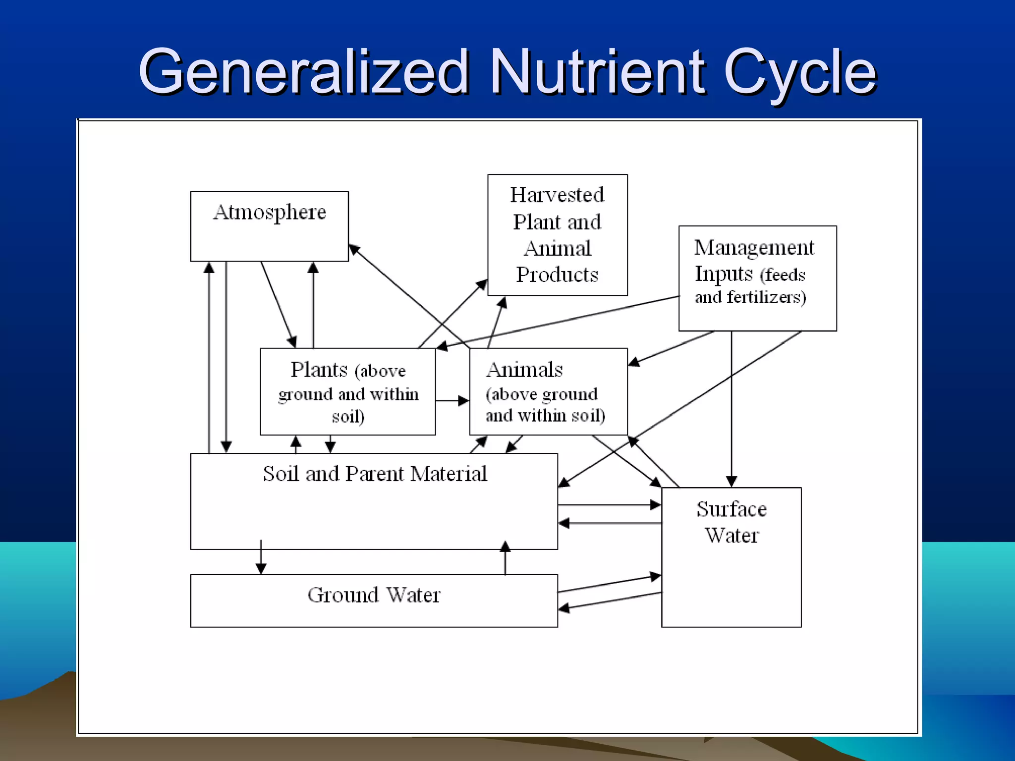 Generalized Nutrient Cycle
 