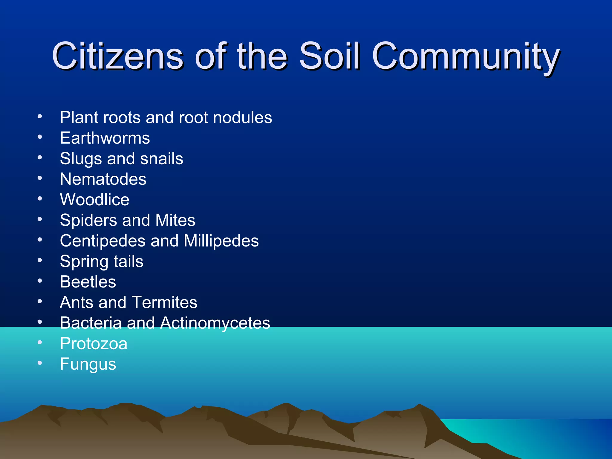 Citizens of the Soil Community
•   Plant roots and root nodules
•   Earthworms
•   Slugs and snails
•   Nematodes
•   Woodlice
•   Spiders and Mites
•   Centipedes and Millipedes
•   Spring tails
•   Beetles
•   Ants and Termites
•   Bacteria and Actinomycetes
•   Protozoa
•   Fungus
 