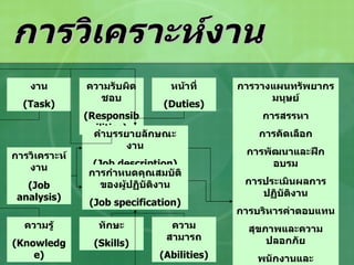การวิเคราะห์งาน งาน (Task) ความรับผิดชอบ (Responsibilities) หน้าที่ (Duties) คำบรรยายลักษณะงาน (Job description) การกำหนดคุณสมบัติของผู้ปฏิบัติงาน (Job specification) ความรู้ (Knowledge) ทักษะ (Skills) ความสามารถ (Abilities) การวางแผนทรัพยากรมนุษย์ การสรรหา การคัดเลือก การพัฒนาและฝึกอบรม การประเมินผลการปฏิบัติงาน การบริหารค่าตอบแทน สุขภาพและความปลอกภัย พนักงานและแรงงานสัมพันธ์ กฎหมายแรงงาน การวิจัยทรัพยากรมนุษย์ การวิเคราะห์งาน (Job analysis) 